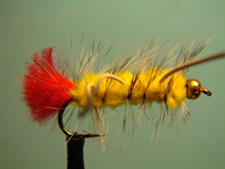 Rubber Yellow Bead Head Woolly Worm (8)